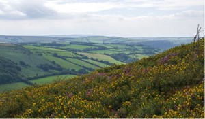 Exmoor National Park